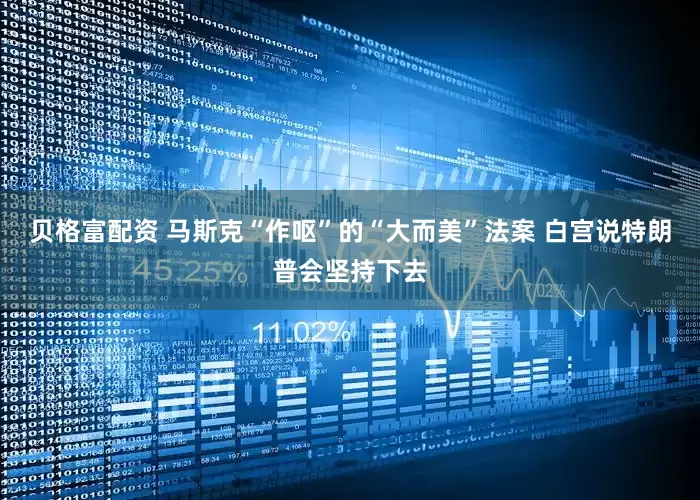 贝格富配资 马斯克“作呕”的“大而美”法案 白宫说特朗普会坚持下去