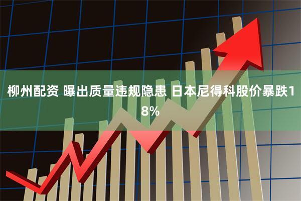 柳州配资 曝出质量违规隐患 日本尼得科股价暴跌18%